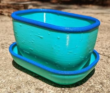 6×4 Carnivorous Plant pot