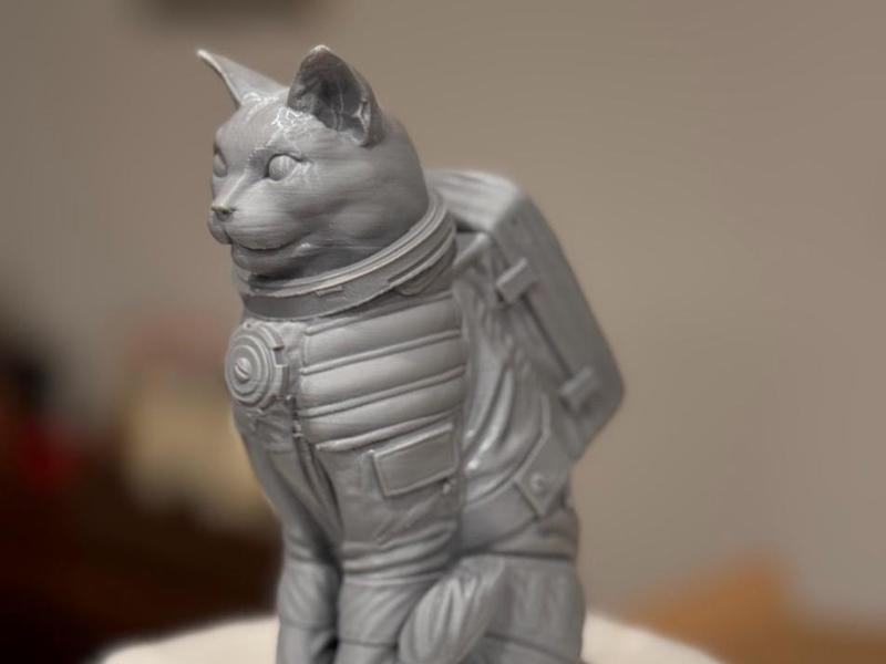 Catstronaut