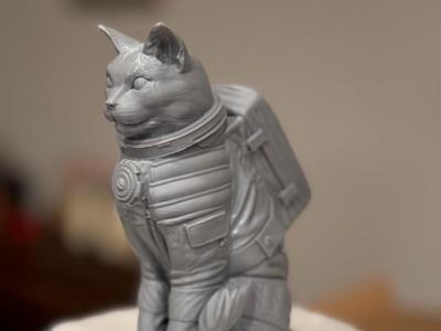 Catstronaut