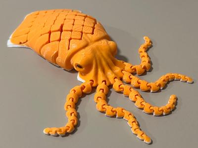 Flexi Cuttlefish