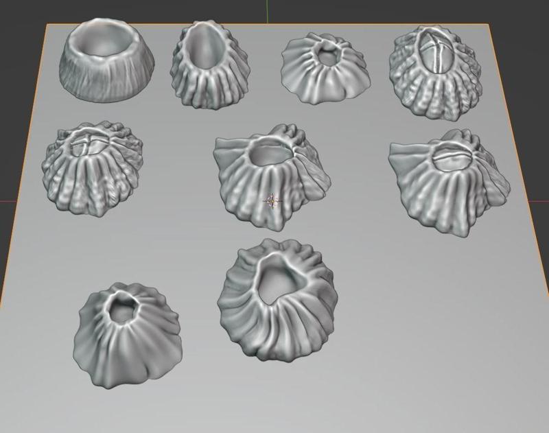 Barnacle 3D print model set of shells