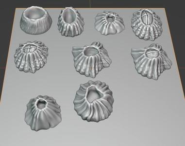 Barnacle 3D print model set of shells
