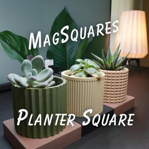 1×1 Planter Square – MagSquares