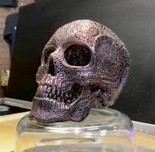Filigree Anatomical Skull – Pre-supported STL