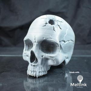 Vampire Skull