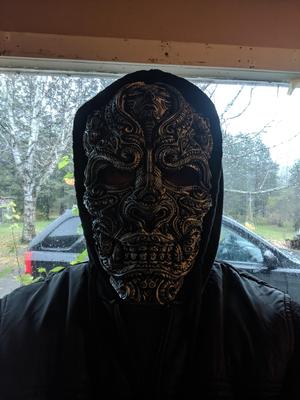 Mask of the warrior