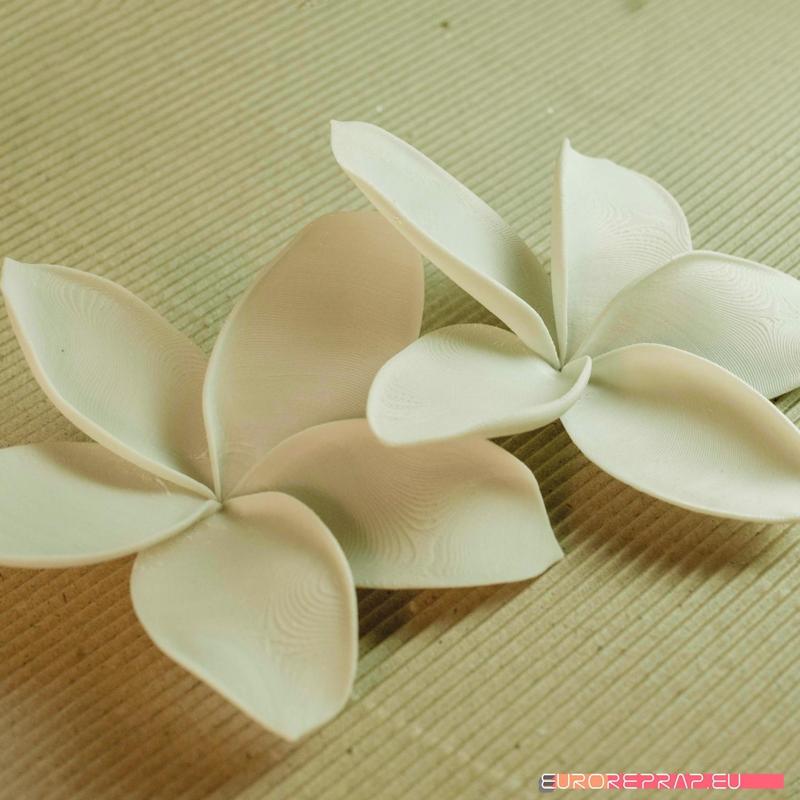 flowers: Plumeria – 3D printable model