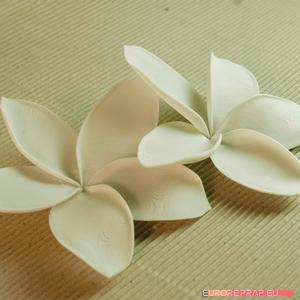 flowers: Plumeria – 3D printable model