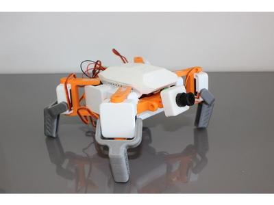 SMARS QUAD MOD