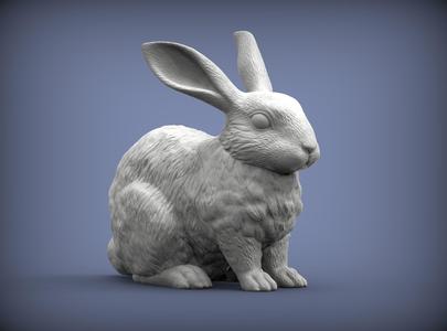 Rabbit