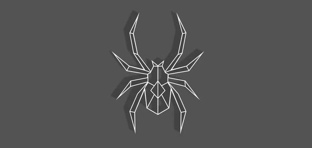 Geometric Spider