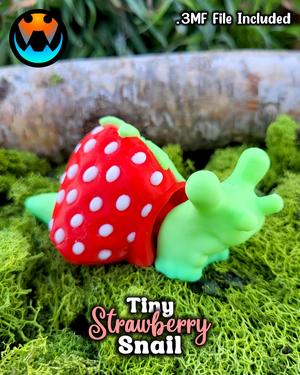 Tiny Strawberry Snail