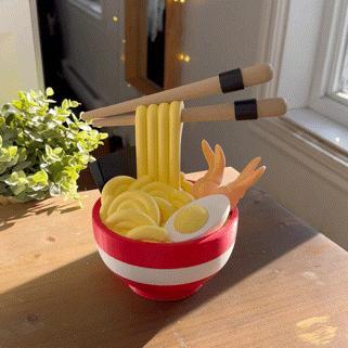 Ramen Noodles Bowl Secret Tray
