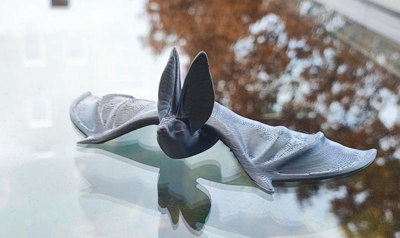 Cute Bat – Supportless ?