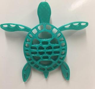 Turtle 