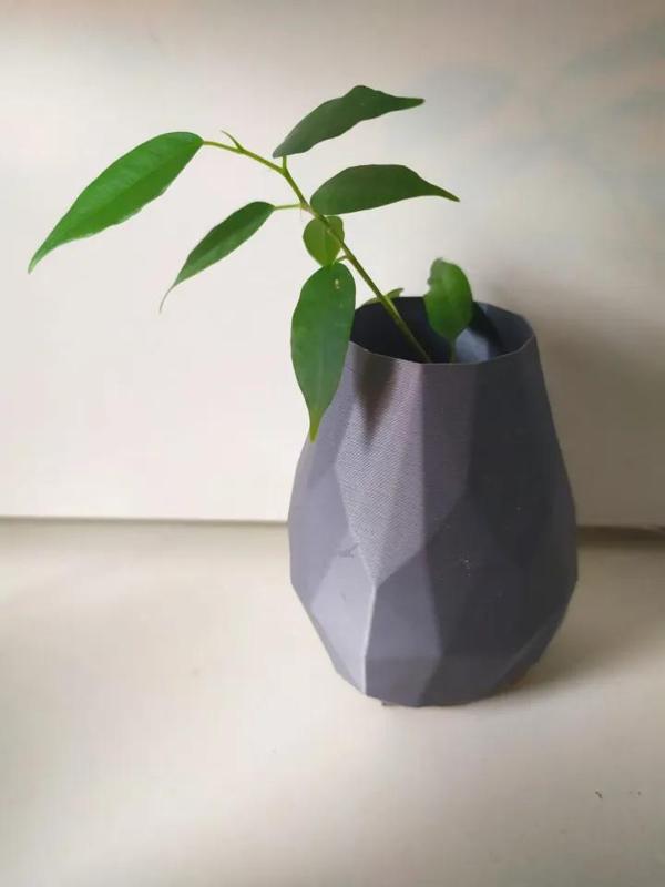 vase