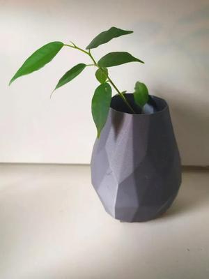 vase
