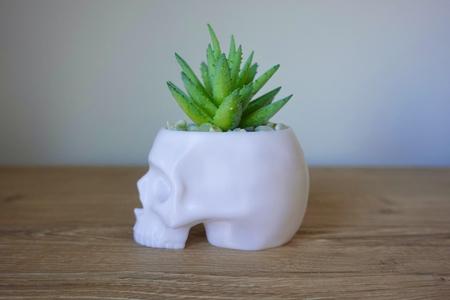 Skull Planter Pot
