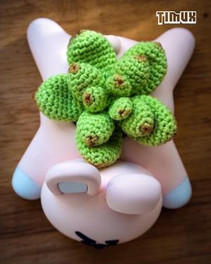 BT21 – COOKY PLANTER