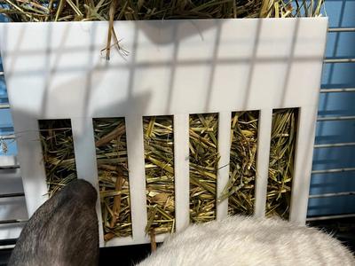Hay rack for rabbits – hay feeder