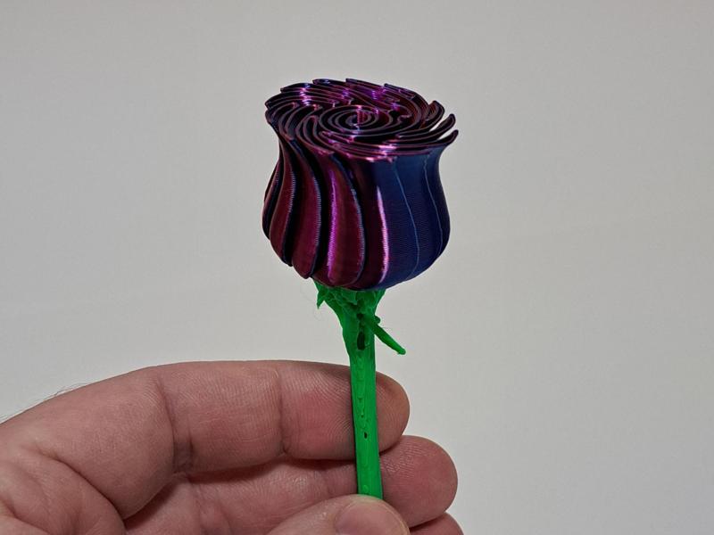 Small Spiral Rose with Stem