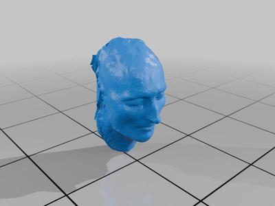 Napoleon Death Mask