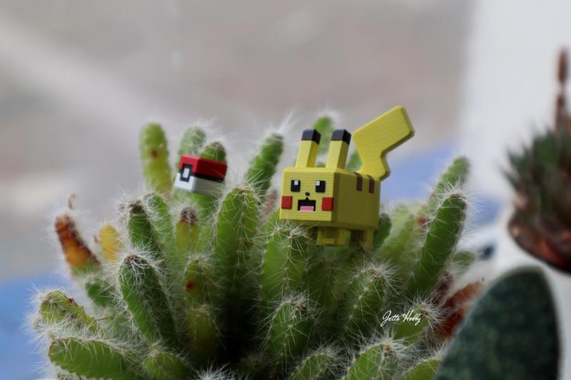 Pokemon Quest – 025 Pikachu
