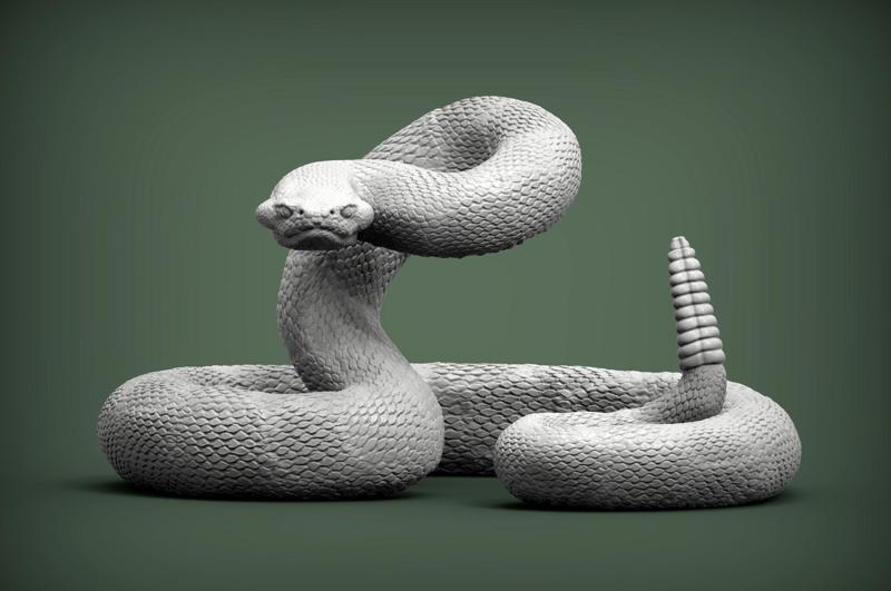 Rattlesnake snake
