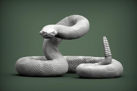 Rattlesnake snake