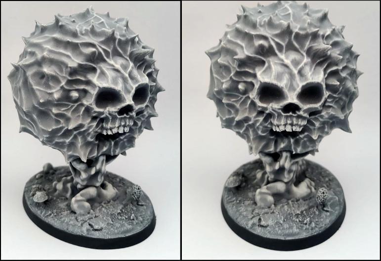 Raily Dwarf Assassin