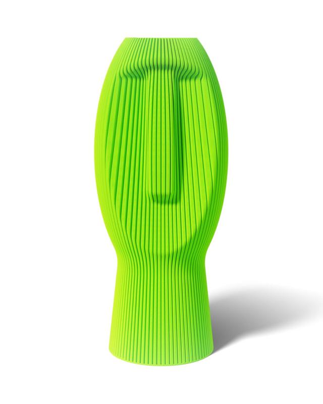 SILENT DUDE