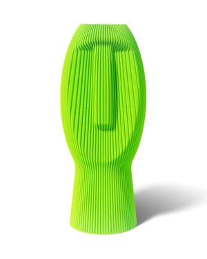 SILENT DUDE