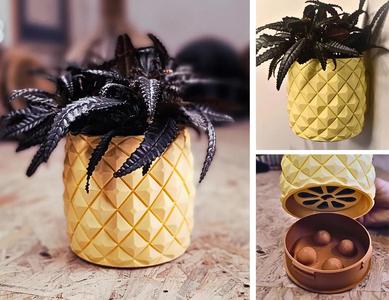 Wall Planter 1.17 Ananas Pineapple
