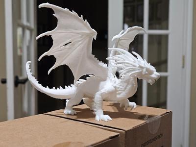 Fire Dragon