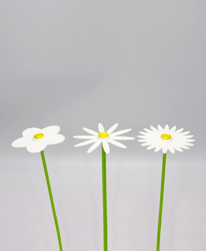 Flower pack 001