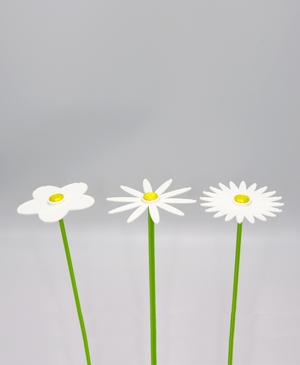 Flower pack 001