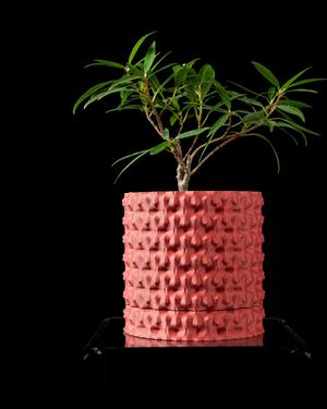 Rugged Planter Pot by MODERN MACHINE