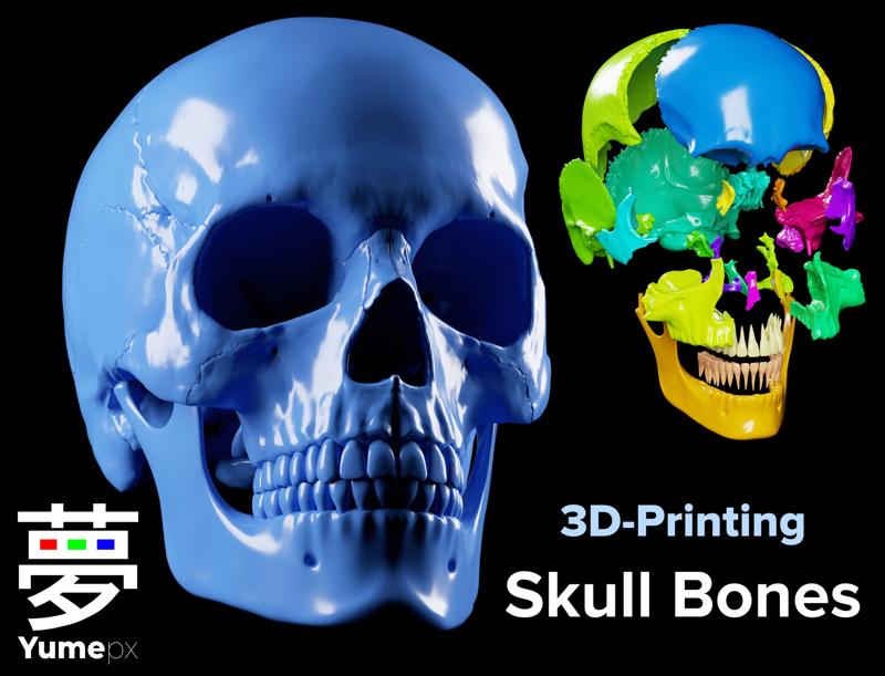 Skull Bones – 3D Printing