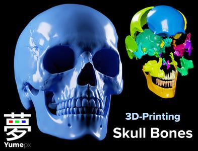 Skull Bones – 3D Printing