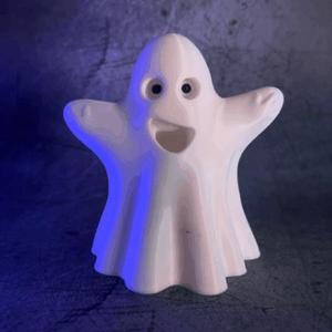 Ghost in Disguise