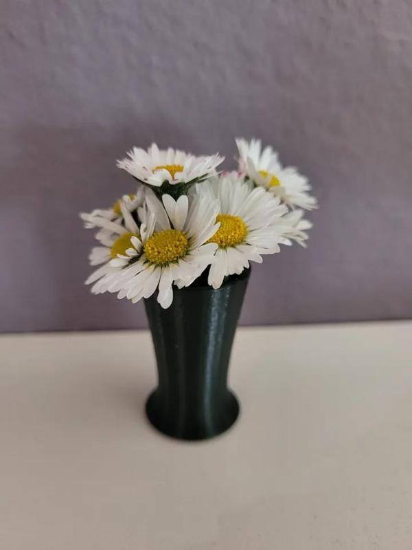 Mini Daisy Vase Flowerpot