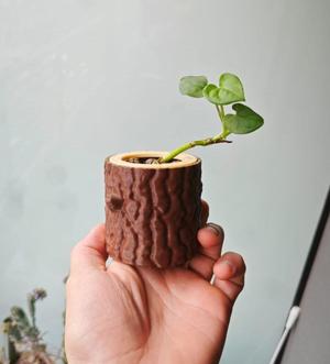 Log Planter