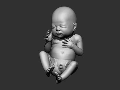 New born baby Boy 3d model for 3d printing