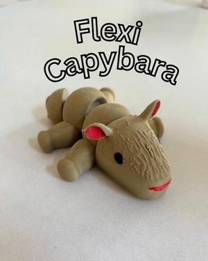Flexi Capybara