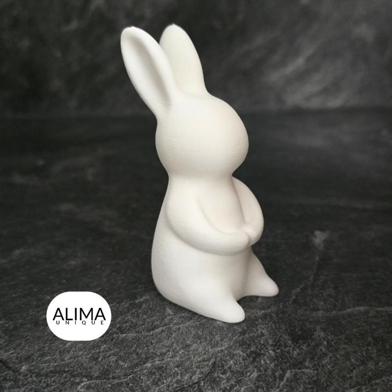 Shape of a Rabbit – Easter Decoration for your home – Support Free