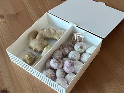 Compartmentalized Ginger and Garlic Container with Lid