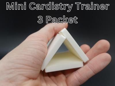 Mini Cardistry Trainer (3 Packets)