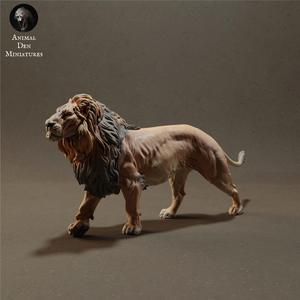 Lion Walk