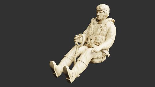 German WWII Stuka Pilot