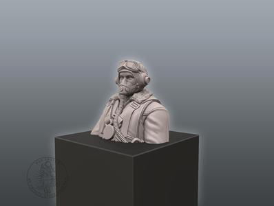 Pilot Bust